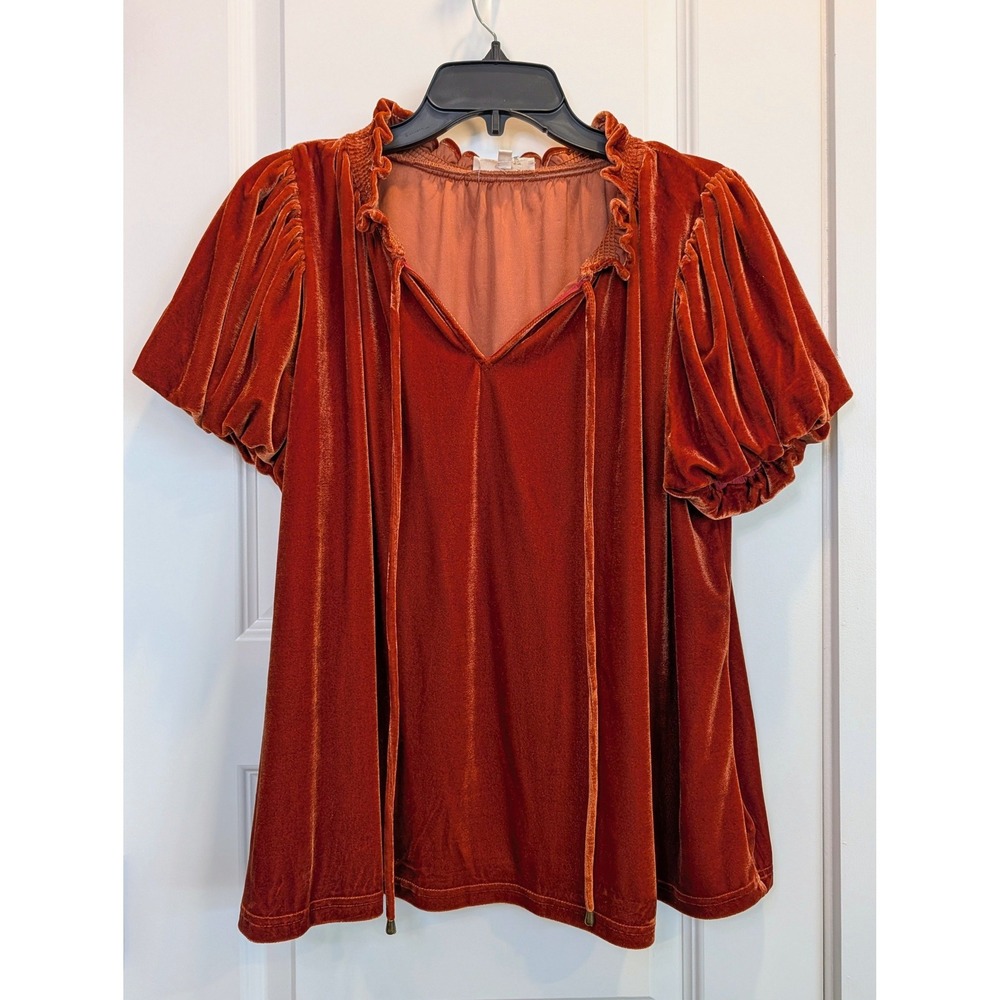 Entro Ruffle Neck Burnt Orange Velvet Blouse